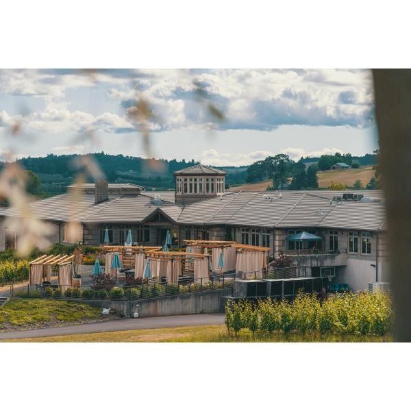 AdelsheimVineyard