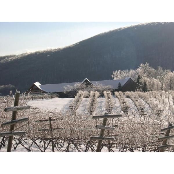 LindenVineyards